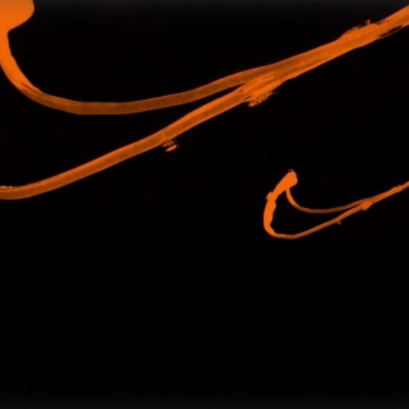 NikeGif