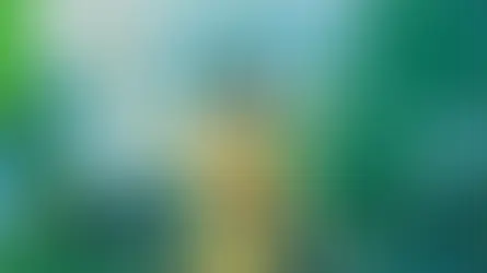 დაანონსებული წიგნები ფინალური ეტაპისთვის