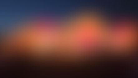 Carolina 50th Balloon Festival