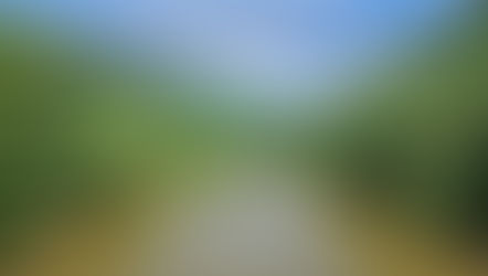 Whirlwind visit to West Virginia, USA for Graduation and some sightseeing