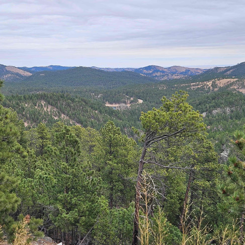 Custer State Park view from up high