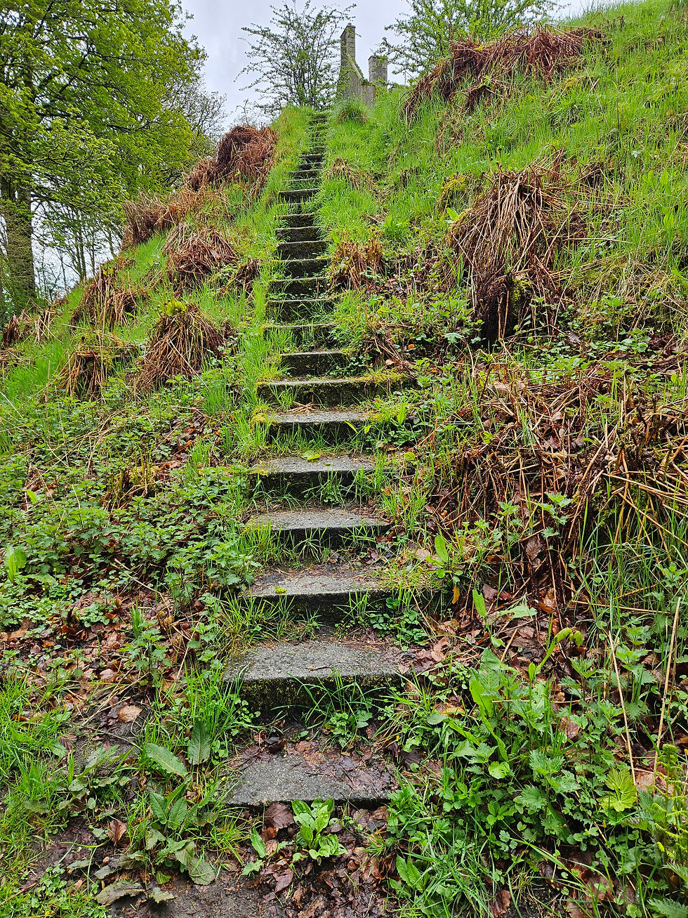 Steps leading up to the castle