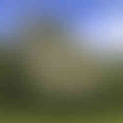 Photo of Buchanan Castle taken in 2012, shows you how it has deteriated