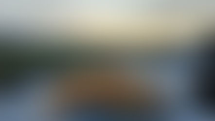 On the hunt for Fish & Chips