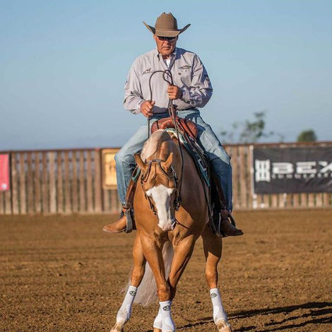 CONTROLE CORPORAL DO CAVALO