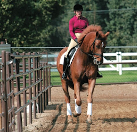 O QUE É ESPÁDUA A DENTRO, TRAVERS E RENVERS - Parte 1