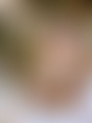 Upcoming Programs at the Whyte!