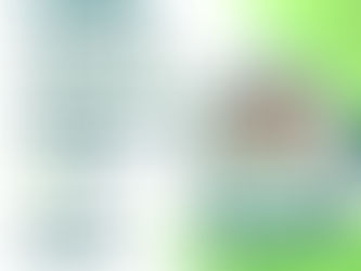 O Necessário E O Supérfluo ✨