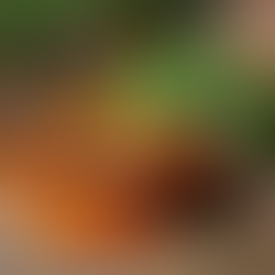 Boost Your Life with Ayurveda Health Practices