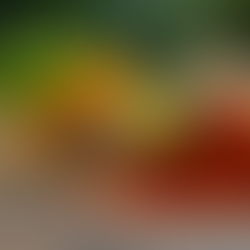 Discover the Benefits of Ayurveda Wellness for a Healthier Life