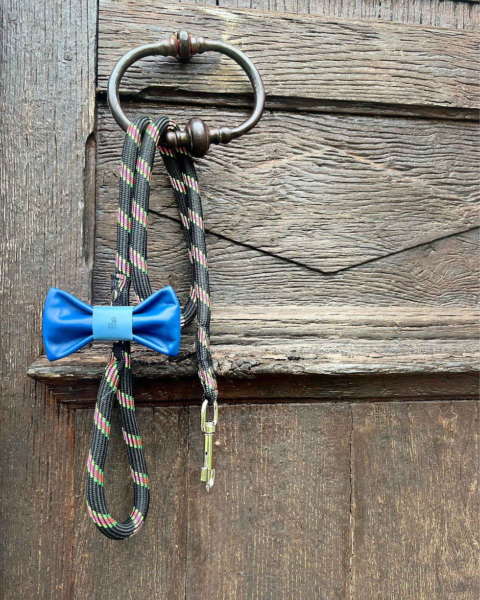 Miniature : Le noeud CELESTE 💙