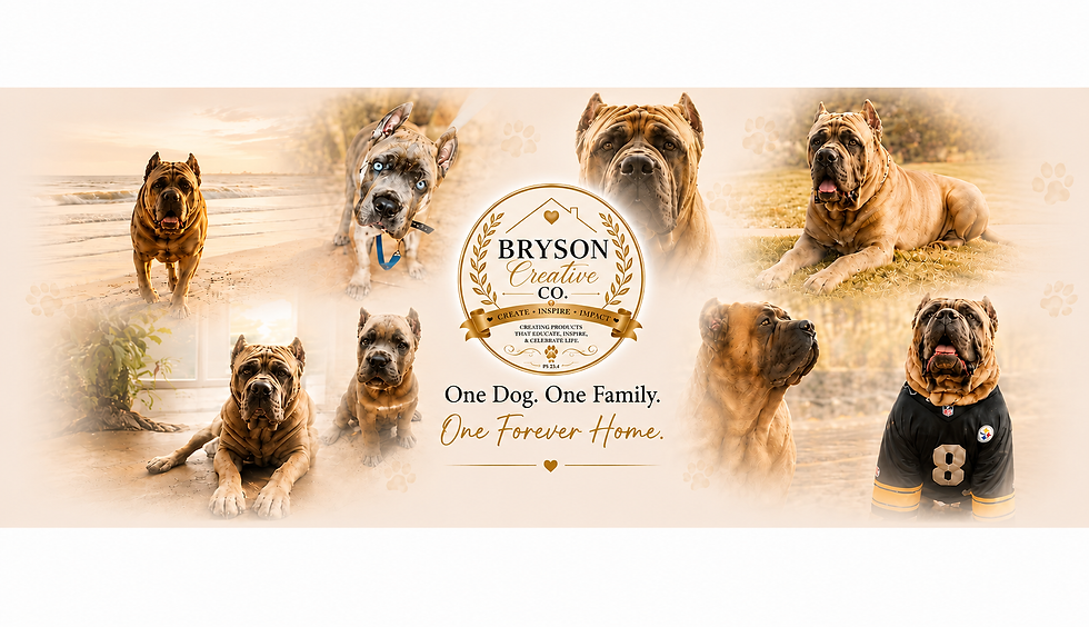 Bryson Creative Co. book and merchandise collections