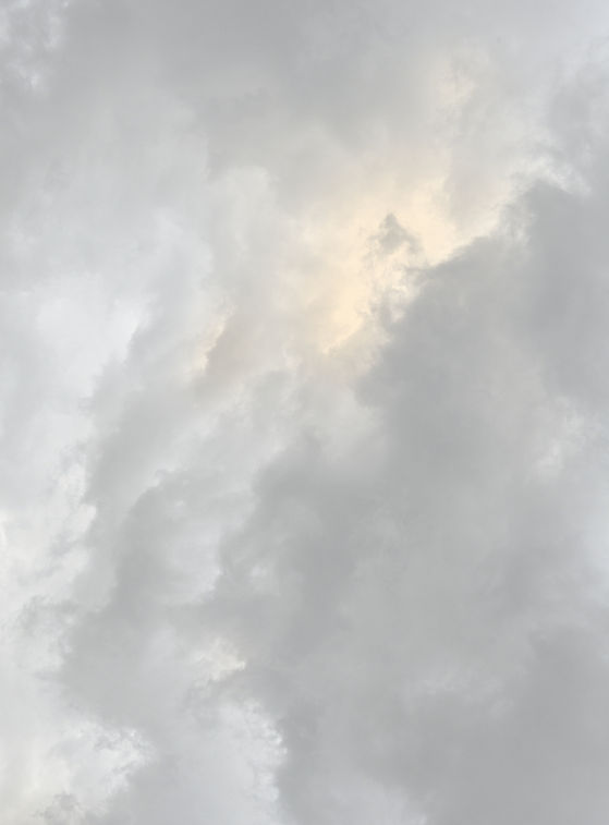 backcover-bkgrd.jpg
