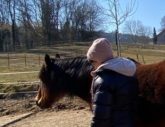 Trust Technique®, Creative Reaction, Pferd, Hundetraining, Daniela Käser, Practitioner