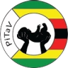 pitav logo.webp