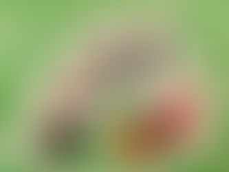 おにぎりボタン