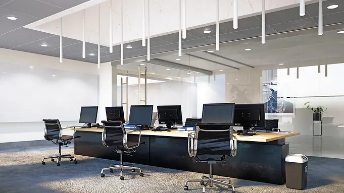 Commercial Renovation.webp