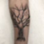 Black and grey tree tattoo by Tommy Borboa