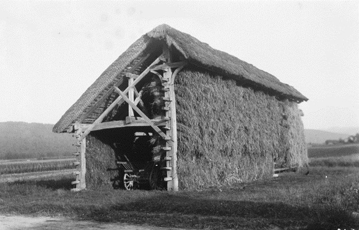 Gable-fronted double hayrack (kozolec na psa), Lower Carniola. SEM Documentation.