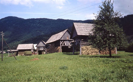 Built for Hay, Built to Last: Hayracks and Slovenia’s Rural Identity