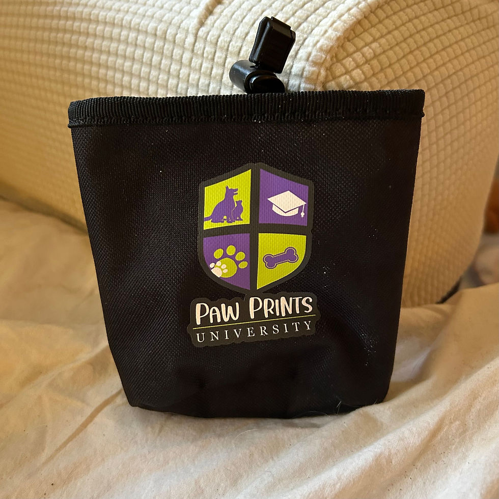 Paw Prints TREAT POUCH