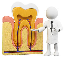 Home - Patient Education Icon.jpg