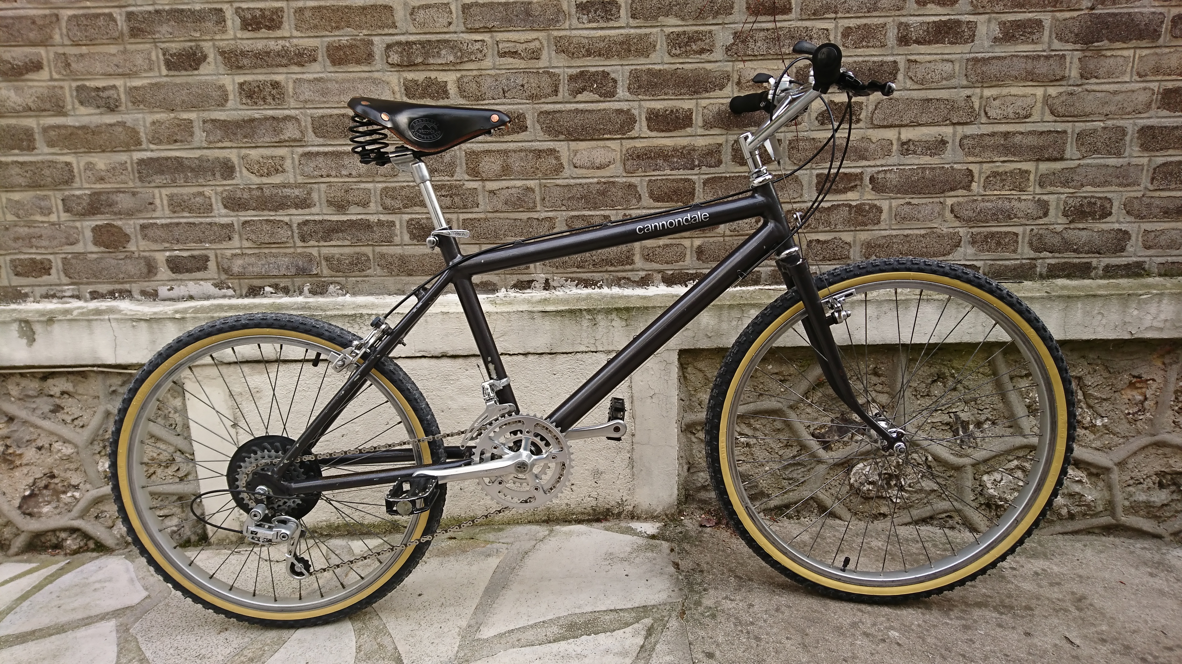 cannondale sm500