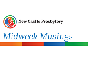 NCP Midweek Newsletter 1/10/2026