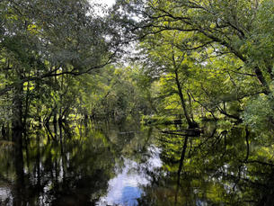 Beside Still Waters