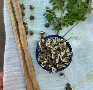 semillas y hojas de moringa.jpg
