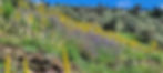 la finca.jpg