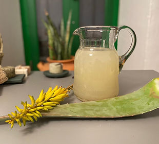 jugo de aloe.jpg