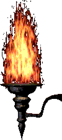 torch.gif