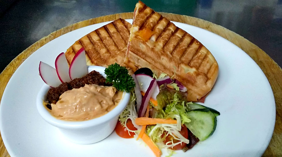 Panini
