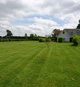 Davids Gardening services Redhill Surrey