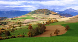 mini - IMG_2163