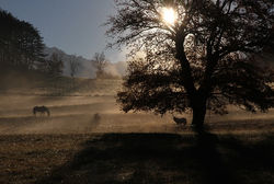 mini -IMG_2244