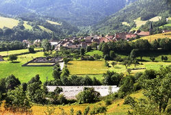 mini - IMG_8741