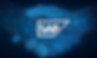 SAP.jpeg