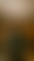 Victor Le Masne : des JO aux Jeux d’eau de Ravel 