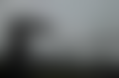 The Fifth Sunday after Pentecost