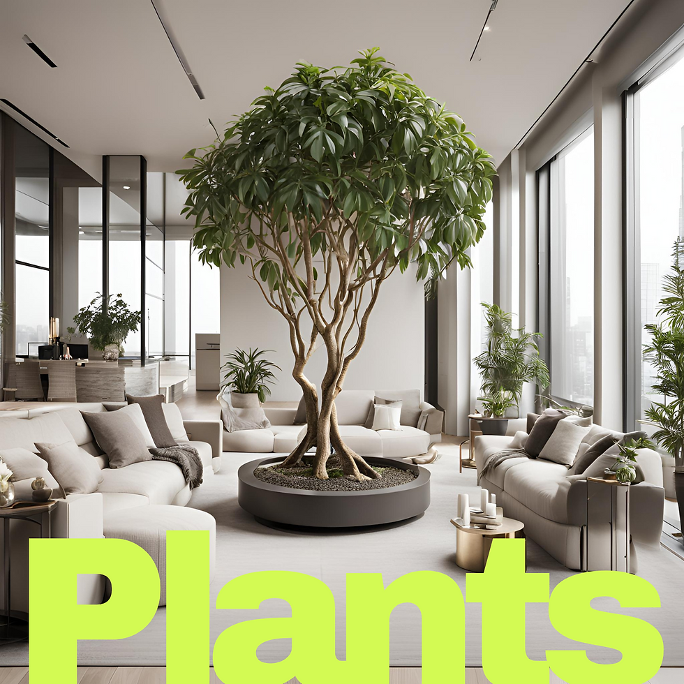 Modern Simple Minimalist Optic Music Album Cover.png