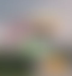 บ้านไฟไหม้ ประกันอัคคีภัยจ่ายไม่เต็ม! เพราะเลือกทุนประกันต่ำกว่าความเป็นจริง