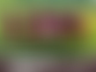 【JY/TOP】IFAリーグ1部 第15節(延期分)