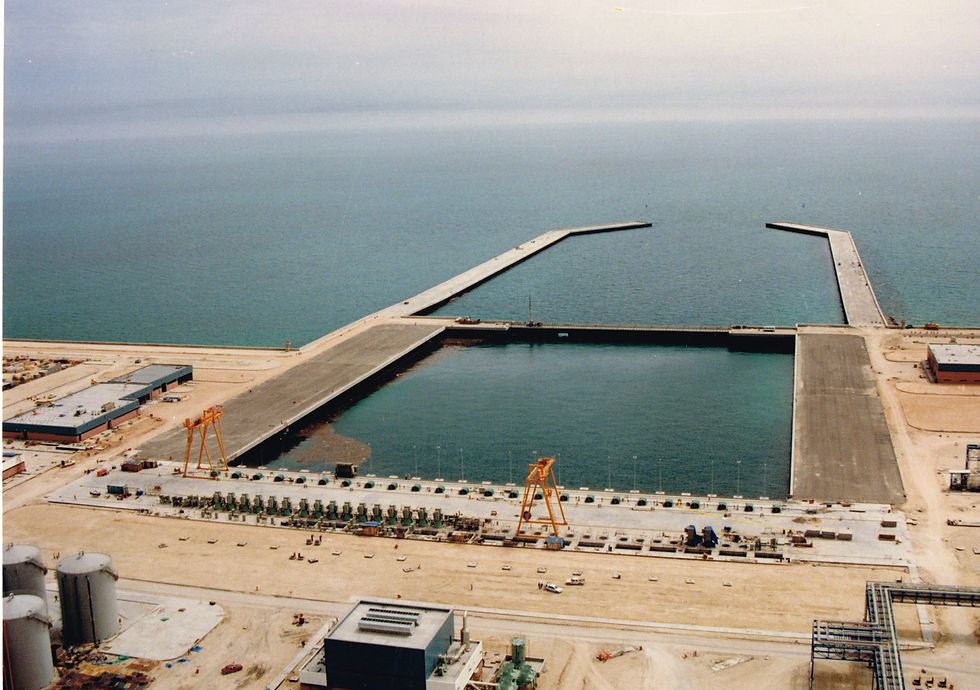 Comparing suntans19013_0005.jpg