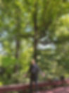 Bernie Backyard as tree_CC.jpg