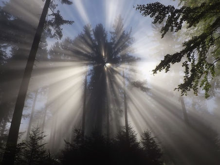 Coincidence Psychodynamics