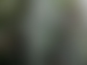 A Non-Statistician’s Approach to Coincidences (Part 5)