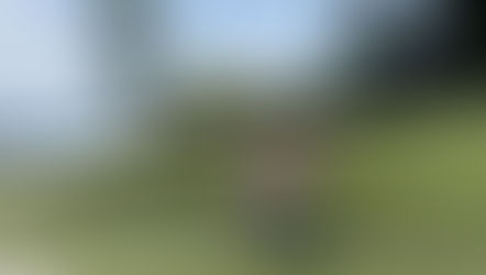 子どもを叩くということ。