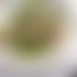 Gnocchi verts de printemps